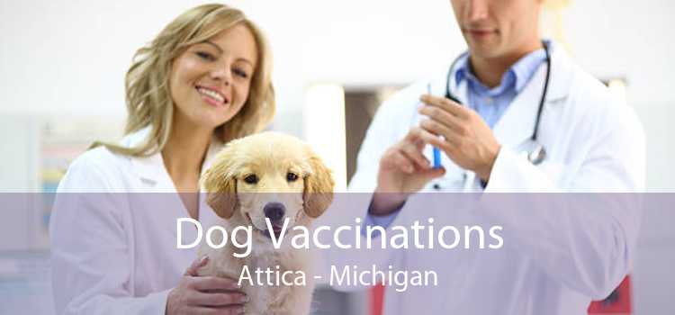 Dog Vaccinations Attica - Michigan