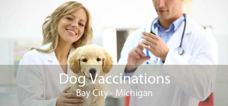 Dog Vaccinations Bay City - Michigan