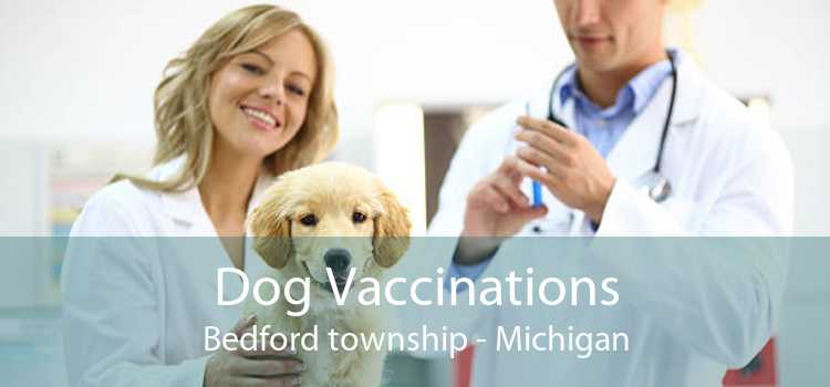 Dog Vaccinations Bedford township - Michigan