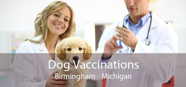 Dog Vaccinations Birmingham - Michigan