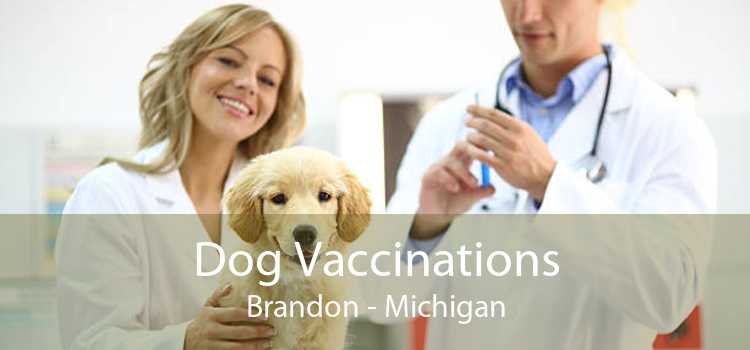 Dog Vaccinations Brandon - Michigan