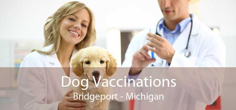 Dog Vaccinations Bridgeport - Michigan