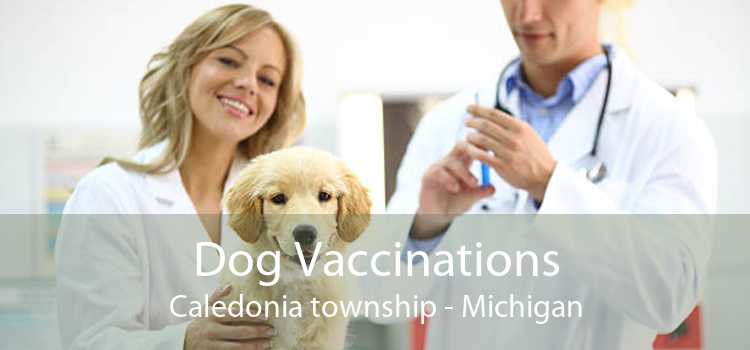 Dog Vaccinations Caledonia township - Michigan