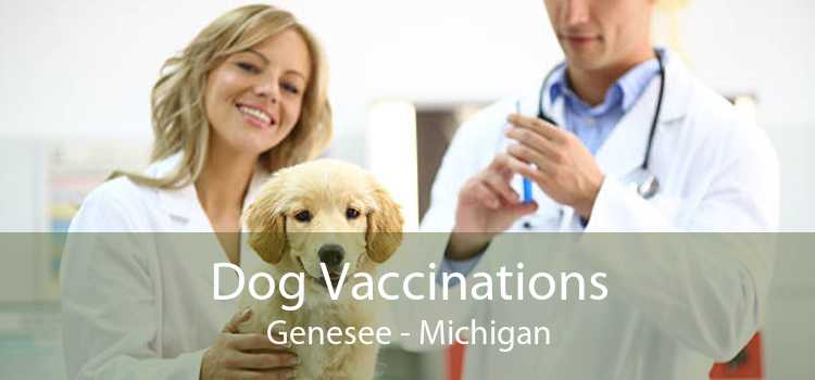 Dog Vaccinations Genesee - Michigan