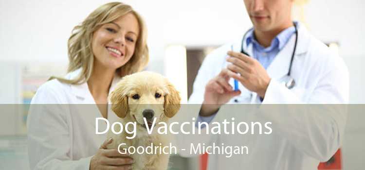 Dog Vaccinations Goodrich - Michigan