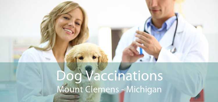 Dog Vaccinations Mount Clemens - Michigan
