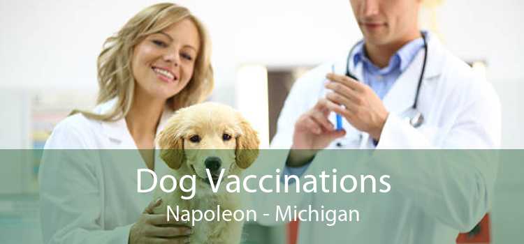 Dog Vaccinations Napoleon - Michigan