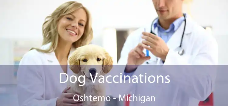 Dog Vaccinations Oshtemo - Michigan