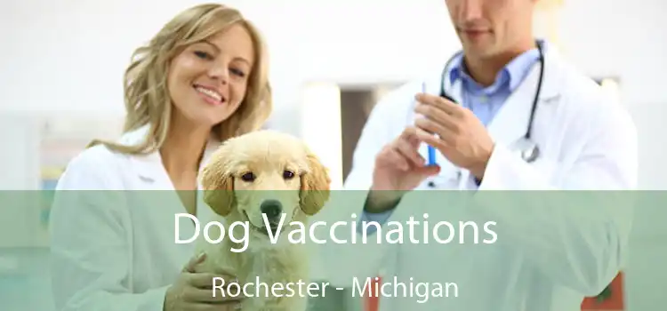 Dog Vaccinations Rochester - Michigan