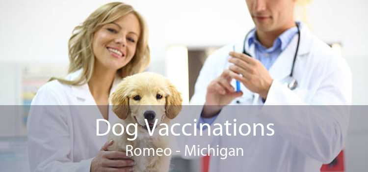 Dog Vaccinations Romeo - Michigan