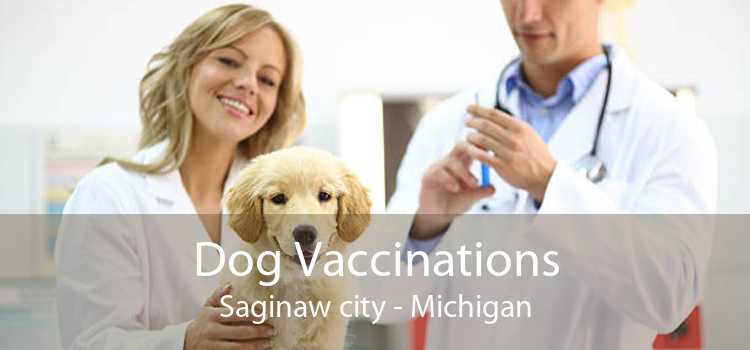 Dog Vaccinations Saginaw city - Michigan
