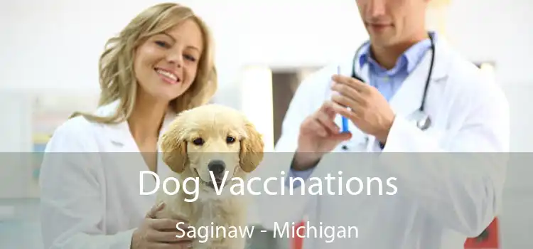 Dog Vaccinations Saginaw - Michigan