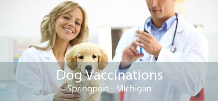 Dog Vaccinations Springport - Michigan