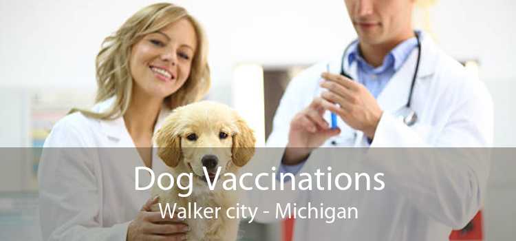 Dog Vaccinations Walker city - Michigan