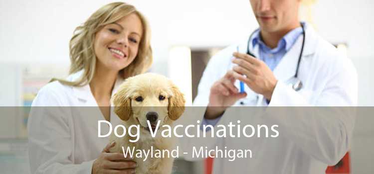 Dog Vaccinations Wayland - Michigan
