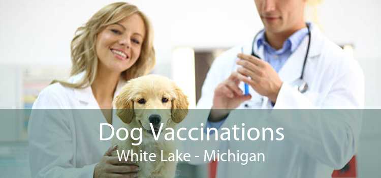 Dog Vaccinations White Lake - Michigan