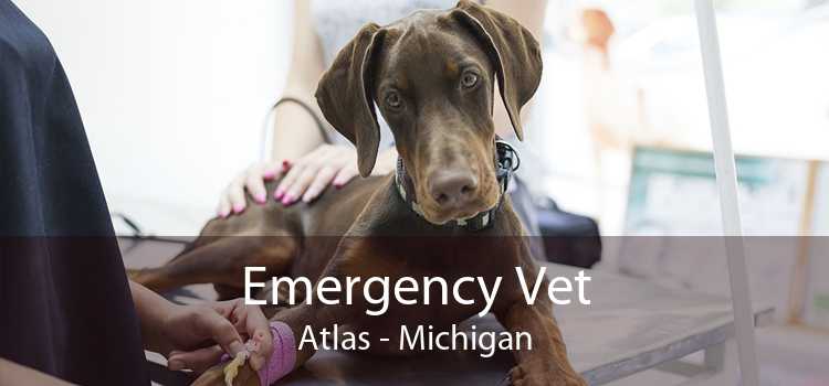 Emergency Vet Atlas - Michigan