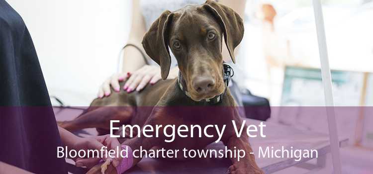 Emergency Vet Bloomfield charter township - Michigan