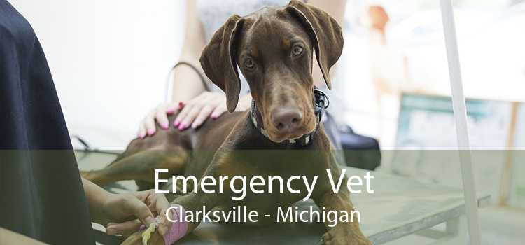 Emergency Vet Clarksville - Michigan