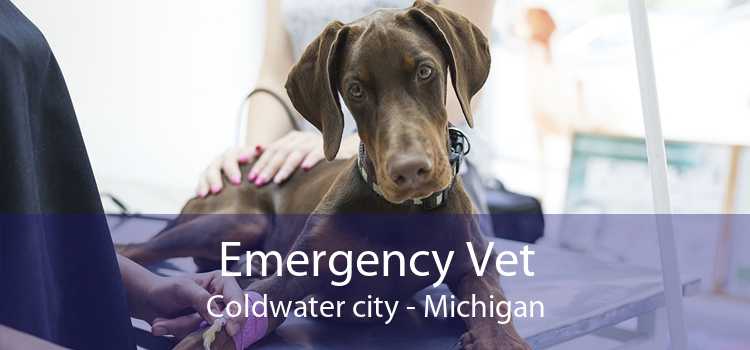 Emergency Vet Coldwater city - Michigan