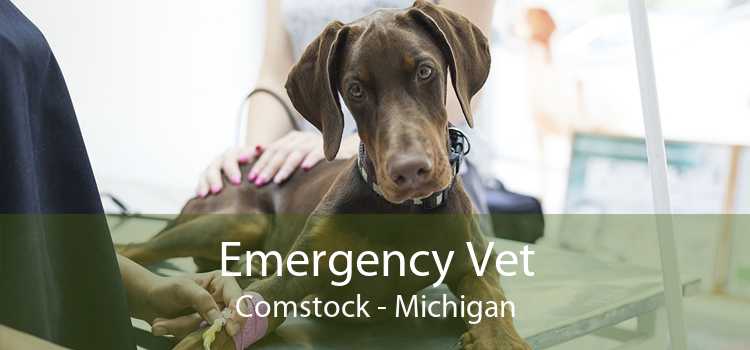 Emergency Vet Comstock - Michigan