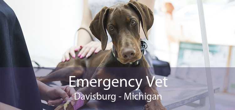 Emergency Vet Davisburg - Michigan