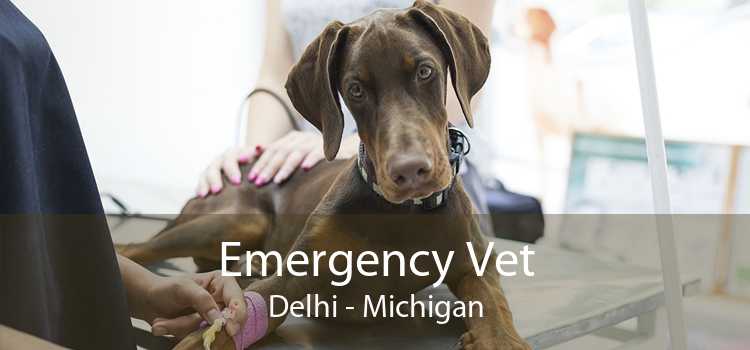 Emergency Vet Delhi - Michigan