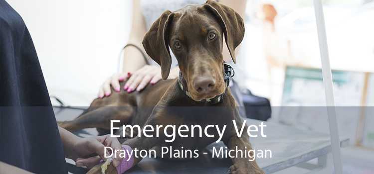 Emergency Vet Drayton Plains - Michigan