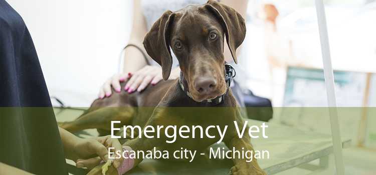 Emergency Vet Escanaba city - Michigan