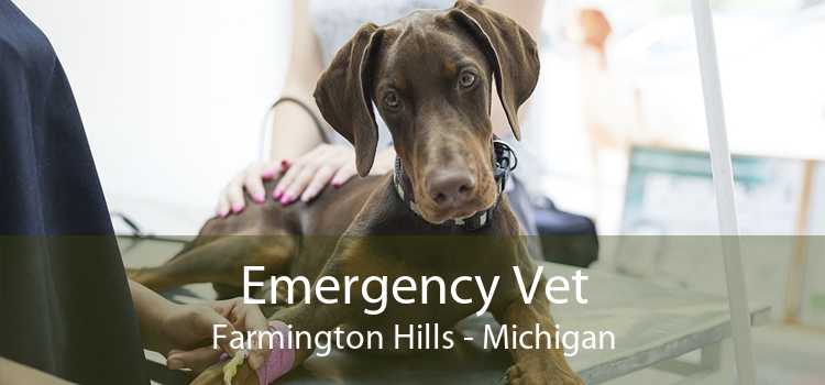 Emergency Vet Farmington Hills - Michigan