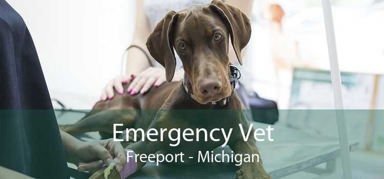 Emergency Vet Freeport - Michigan