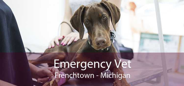 Emergency Vet Frenchtown - Michigan