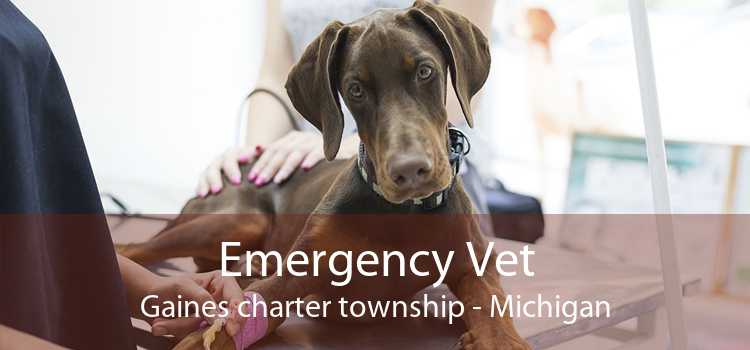 Emergency Vet Gaines charter township - Michigan