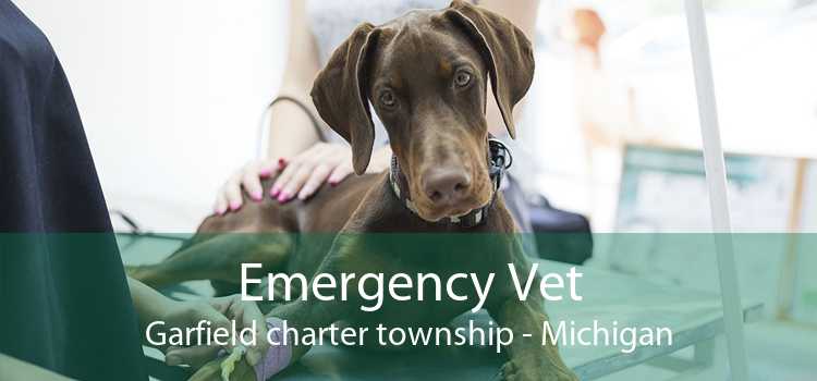 Emergency Vet Garfield charter township - Michigan