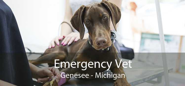 Emergency Vet Genesee - Michigan