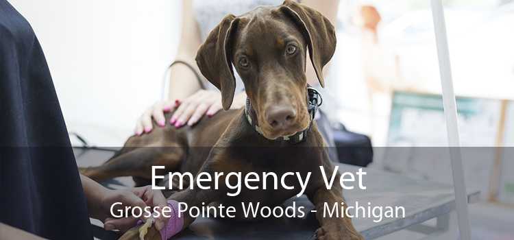 Emergency Vet Grosse Pointe Woods - Michigan