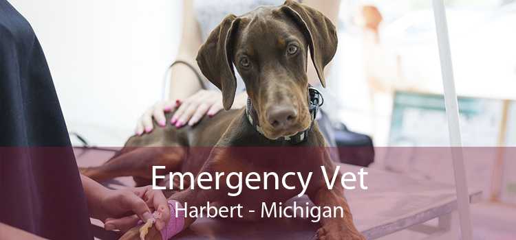 Emergency Vet Harbert - Michigan