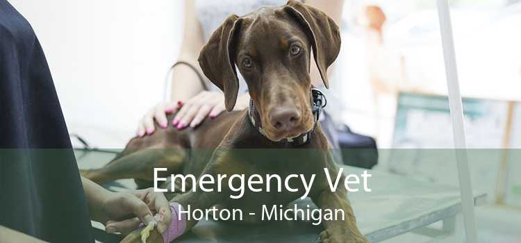 Emergency Vet Horton - Michigan