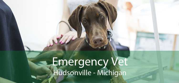 Emergency Vet Hudsonville - Michigan