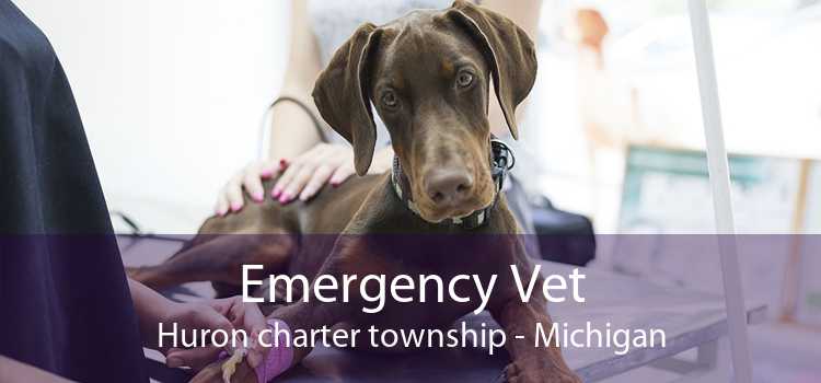 Emergency Vet Huron charter township - Michigan