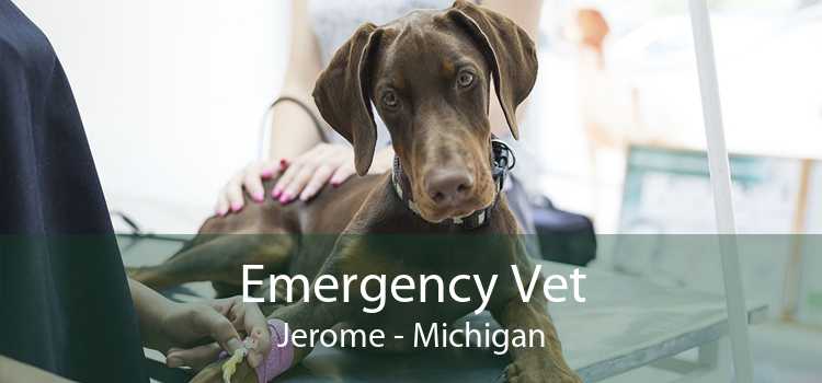 Emergency Vet Jerome - Michigan