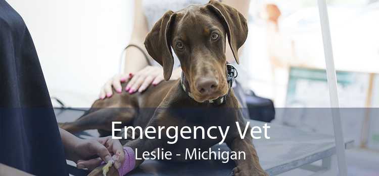 Emergency Vet Leslie - Michigan