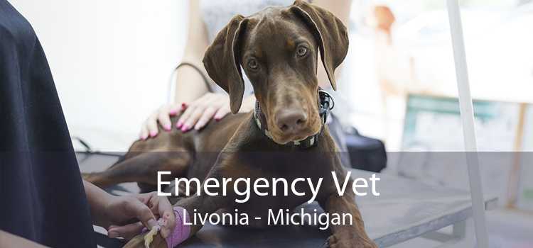 Emergency Vet Livonia - Michigan