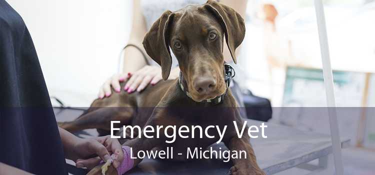 Emergency Vet Lowell - Michigan