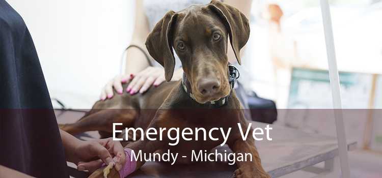 Emergency Vet Mundy - Michigan