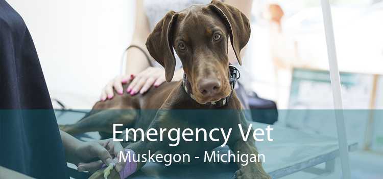 Emergency Vet Muskegon - Michigan