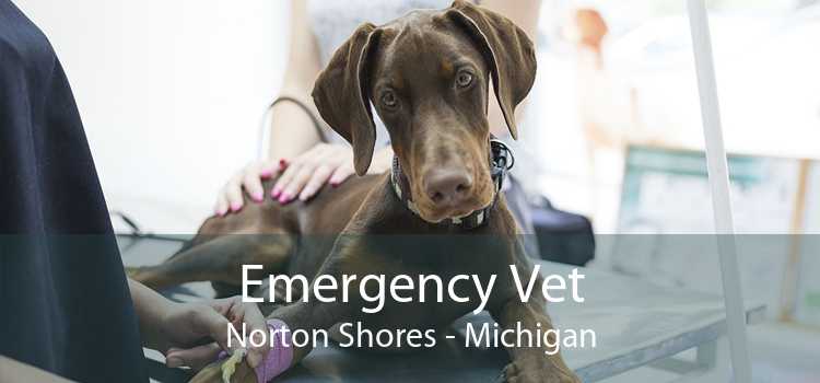 Emergency Vet Norton Shores - Michigan