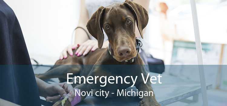 Emergency Vet Novi city - Michigan