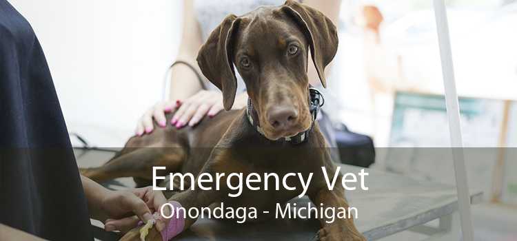 Emergency Vet Onondaga - Michigan