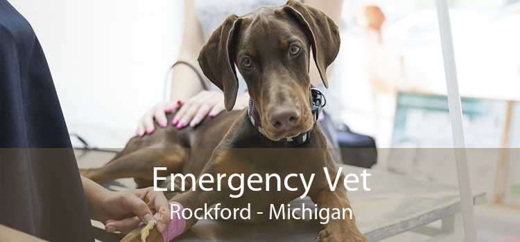 Emergency Vet Rockford - Michigan